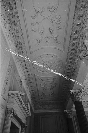 CASTLETOWN HOUSE  CEILING OF INNER HALL